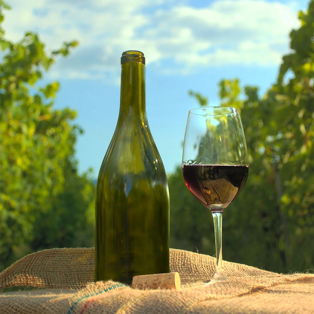 Verre et bouteille de vin sur fond de vignes