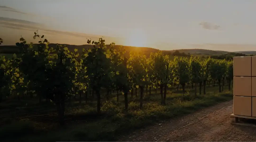Comment simplifier l’expédition de vin en Hérault ?